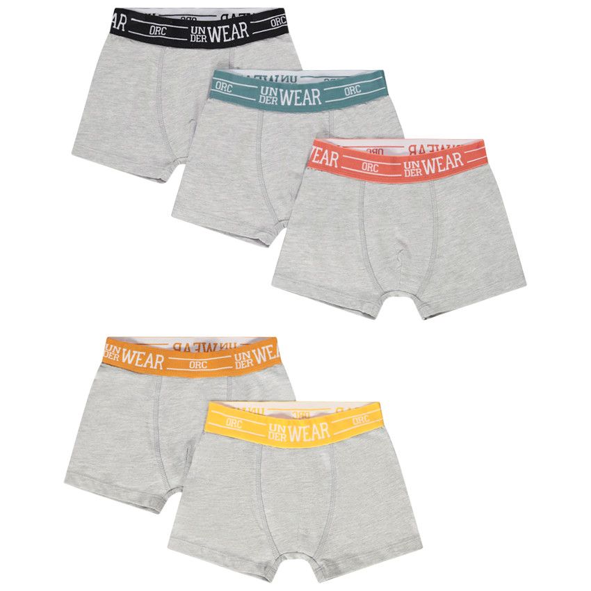 Garçons Boxershorts sous-vêtements pour Bébé Underpants pour Les Enfants  Coton 6 pcs Dinosaures âgés de 2 à 3 Ans : : Mode