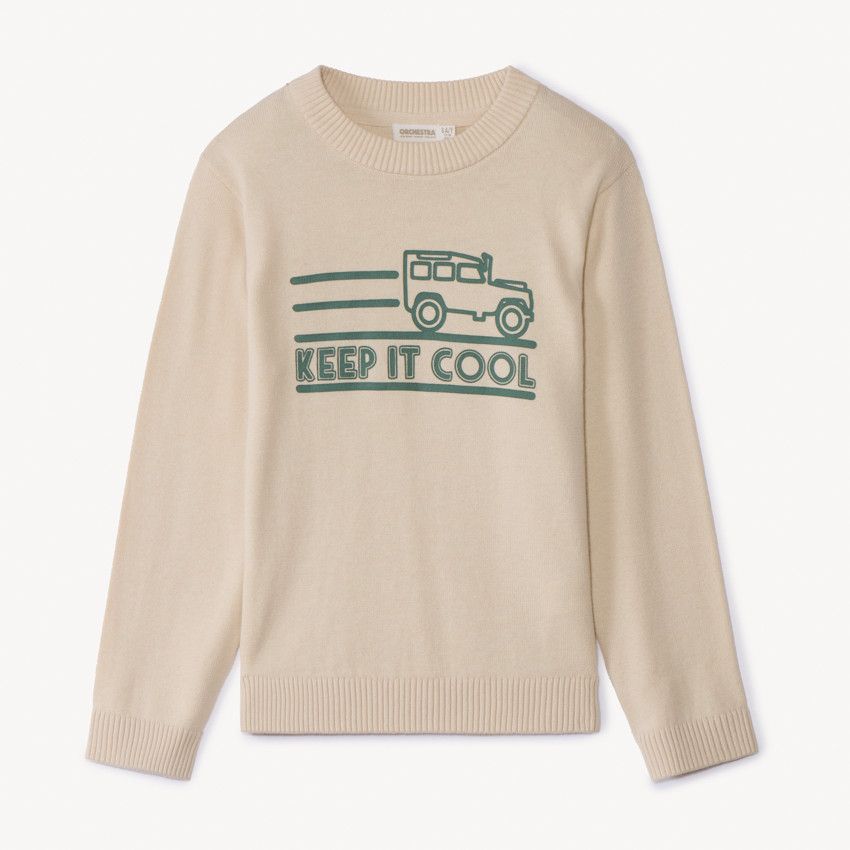 Pull Gremlins Garçon 9-10 Ans – Coton Noir Avec Logo – Occasion Excellent état
