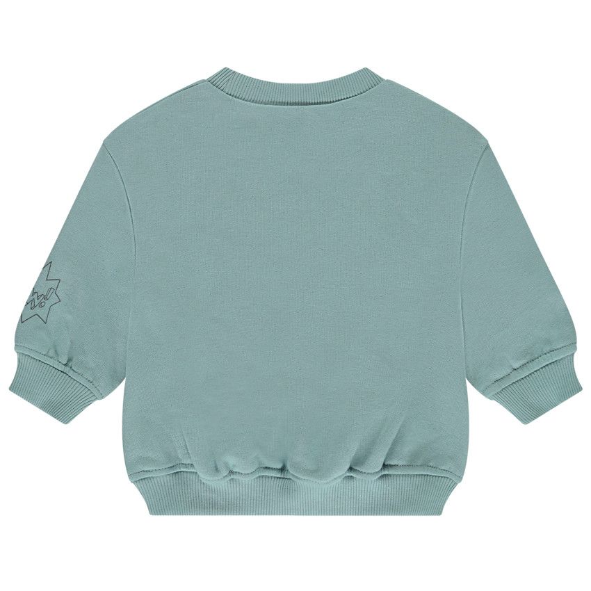 Sweat molleton brodé T-Rex pour garçon Stone - 6 ans - Pull, gilet, sweat - Garçon