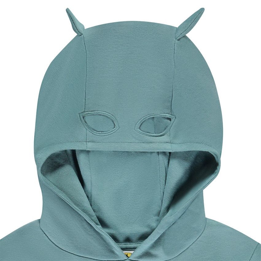 Sweat à Capuche Under Armour Garçon Taille XL Vert Néon - Occasion Bon état