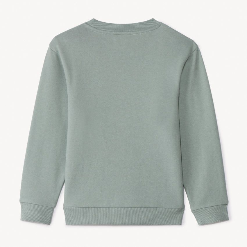 Pull à Capuche Garçon Foanja Vert - Taille 13-14 Ans - Coton - Flim Flam