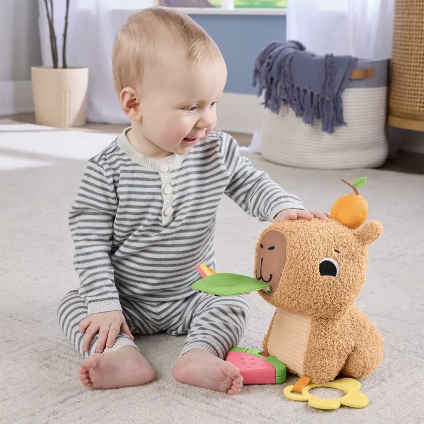 Jouet Éveil Peluche - FISHER-PRICE - Mon Oie Câline - Effets Sonores Jouet Éveil Peluche - FISHER-PRICE - Mon Oie Câline - Effets Sonores